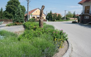 11-A-rozsak-faluja