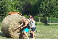 Aratás 2017. július 18.