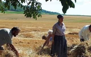05-Aratas-2017.-09.-18