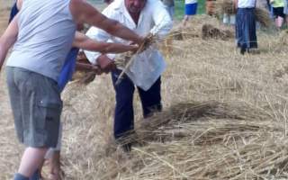 12-Aratas-2017.-09.-18