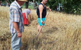 13-Aratas-2017.-09.-18