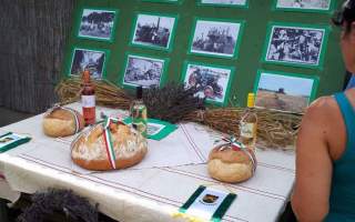 17-Aratas-2017.-09.-18