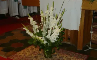 P1100735