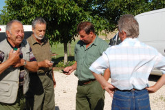 Falunap 2008