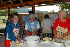 Falunap 2009