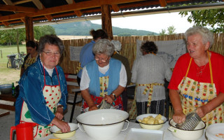 001-Falunap-2009