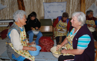 007-Falunap-2009