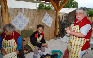 008-Falunap-2009
