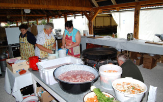 014-Falunap-2009