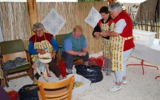 017-Falunap-2009