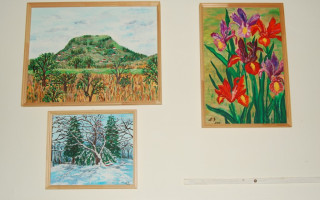 039-Falunap-2009