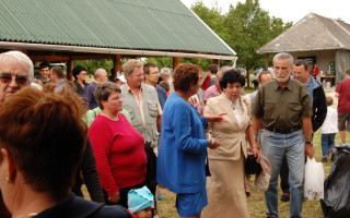 099-Falunap-2009