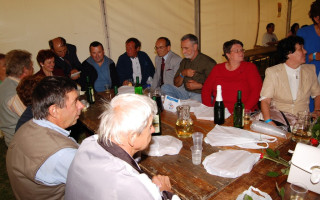 105-Falunap-2009