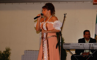 120-Falunap-2009