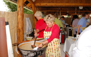 132-Falunap-2009