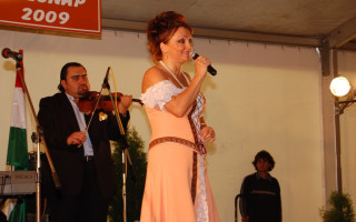 135-Falunap-2009
