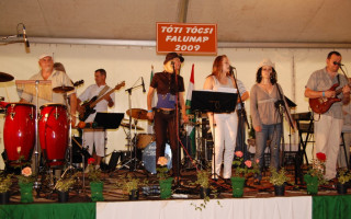 160-Falunap-2009