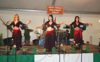 197-Falunap-2009