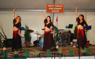 201-Falunap-2009