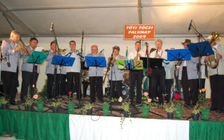 208-Falunap-2009