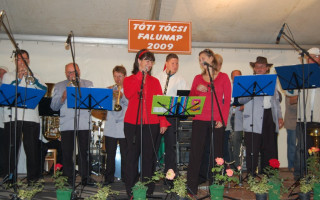 213-Falunap-2009
