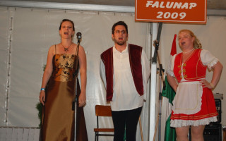 239-Falunap-2009