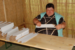 Falunap 2010