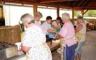 004-Falunap-2010