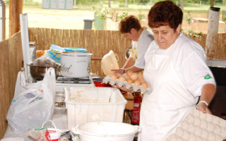 006-Falunap-2010