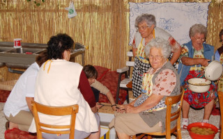 007-Falunap-2010