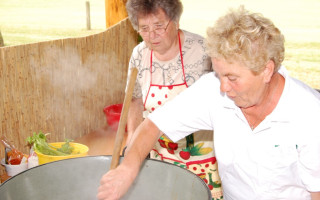 008-Falunap-2010