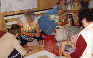 010-Falunap-2010
