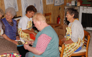 014-Falunap-2010