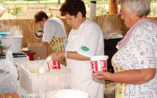 016-Falunap-2010