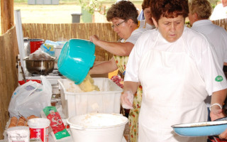 018-Falunap-2010