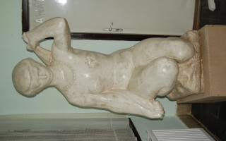 043-Falunap-2010