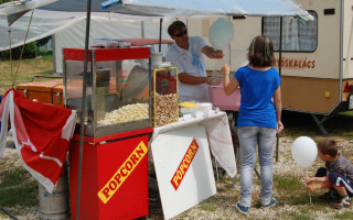 045-Falunap-2010