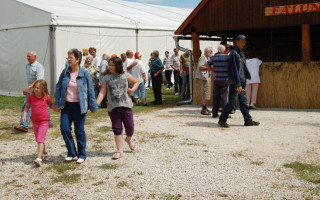 050-Falunap-2010