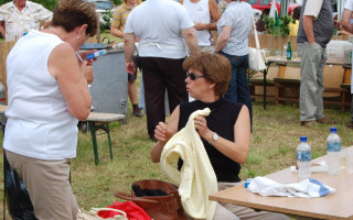 052-Falunap-2010