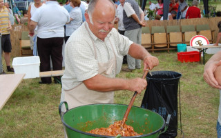 054-Falunap-2010
