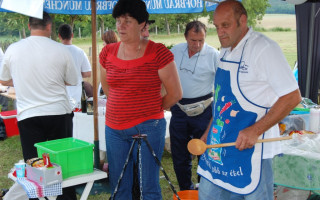 060-Falunap-2010