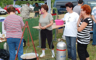 062-Falunap-2010