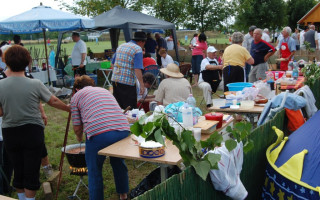 071-Falunap-2010