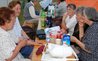 074-Falunap-2010