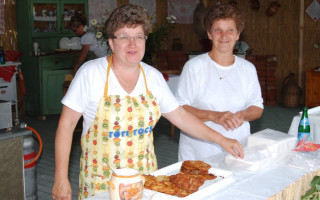 082-Falunap-2010