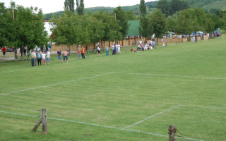 095-Falunap-2010