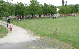 096-Falunap-2010