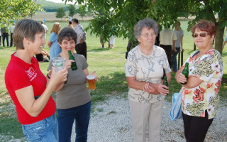 099-Falunap-2010