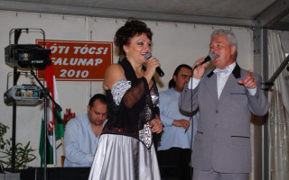 101-Falunap-2010