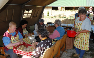04-Falunap-2011